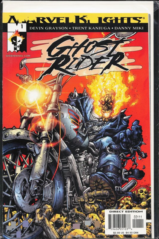 Ghost Rider #1 (2001) Ghost Rider