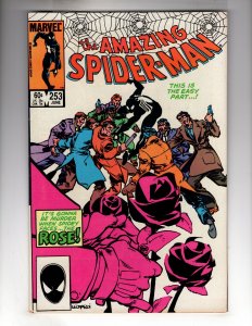 The Amazing Spider-Man #253 (1984)  - [CR400-FP#01]