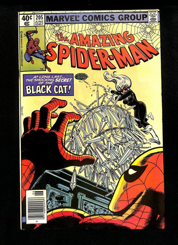 Amazing Spider-Man #205 Black Cat!