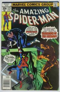 AMAZING SPIDER-MAN  #175 (Marvel,12/1977)  (F+) Punisher! Wein & Andru