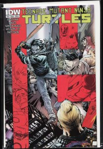 Teenage Mutant Ninja Turtles #45 (2015)