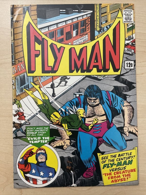 Fly Man #34