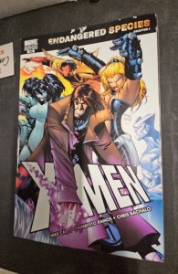 X-Men #200 Ramos Cover (2007)