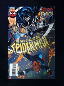 Spectacular Spider-Man #234  Marvel Comics 1996 Nm-