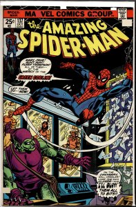 The Amazing Spider-Man #137 (1974) Spider-Man