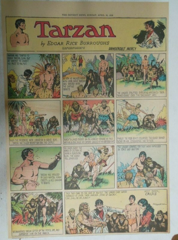 Tarzan Sunday Page #425 Burne Hogarth from 4/30/1939 Very Rare Full Page Size 