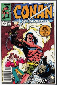 Conan the Barbarian #208 (1988) Conan