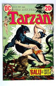 Tarzan #213 Balu Great Apes Joe Kubert DC (1972) VF