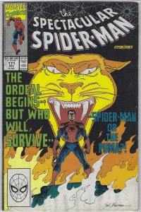 Spectacular Spider-Man #171