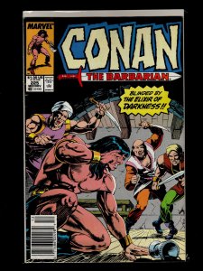 Conan the Barbarian #221,222,223,224,225,226,227,228,229,230 (1989)