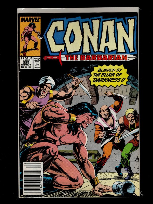 Conan the Barbarian #221,222,223,224,225,226,227,228,229,230 (1989)