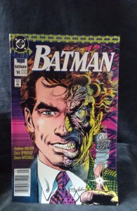 Batman Annual #14 (1990)
