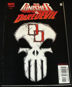 Punisher vs. Daredevil #1 (2000)