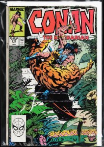 Conan the Barbarian #213 (1988) Conan