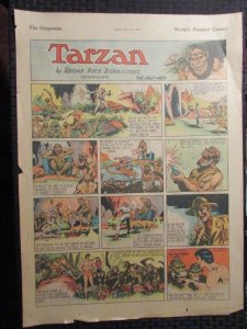 `1939 March 26 TARZAN 14x20 Sunday Full Page Color Strip VG+ 4.5 Terry & Pirates