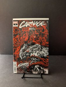 Carnage: Black, White & Blood #2 Kyle Hotz Variant (2021)