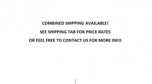 The Human Fly #16 (1979) Niagara Nightmare - Bronze Marvel Comics