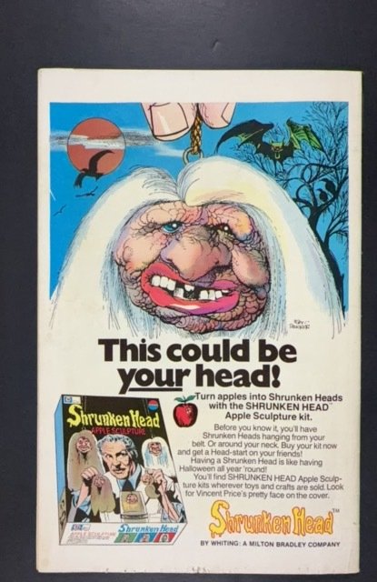 Superboy #213 (1975)