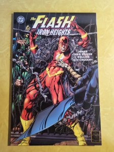 Flash: Iron Heights (2001)