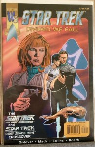 Star Trek: Divided We Fall #4 (2001)