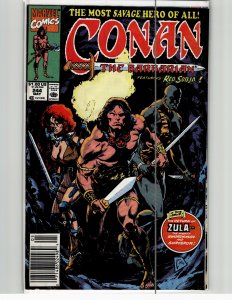 Conan the Barbarian #244 (1991) Conan