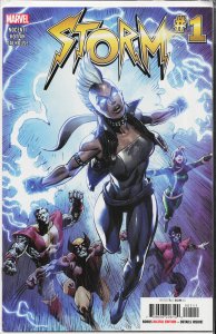 Storm #1 (2023) Storm