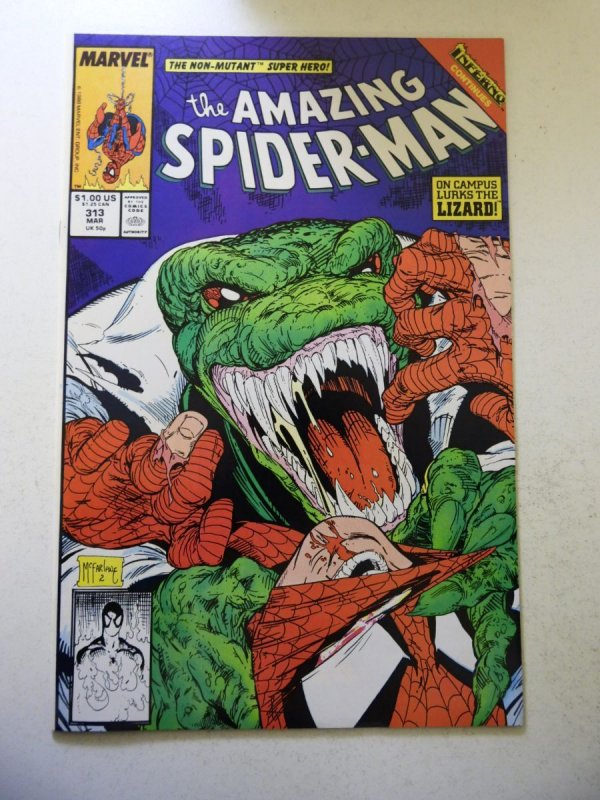 The Amazing Spider-Man #313 (1989) VF Condition