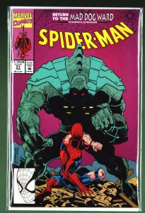 Spider-Man #31 (1993)