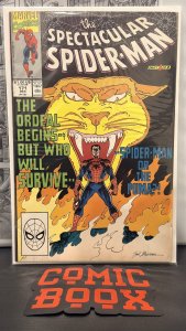 The Spectacular Spider-Man #171 (1990) Spider-Man