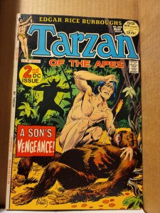 Tarzan #208 (1972) abc