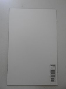 The Punisher #1 Blank Cover (2011) NM- Condition!