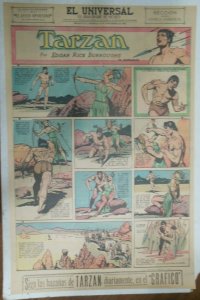 Tarzan Sunday Page #608 Burne Hogarth from 11/1/1942 in Spanish! Full Page Size