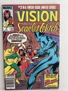 The Vision And The Scarlet Witch #2 Newsstand