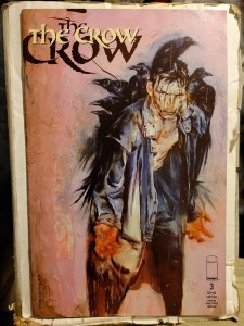 Crow #3 (1999) sb5