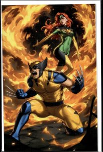 Wolverine (2024 Marvel) #5 Comic Illuminati Exclusive Variant Cover