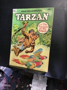 Tarzan #10 (1949) Golden age painted cover key! Mid grade! FN- Wow!