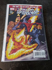 The Amazing Spider-Man #590 (2009)