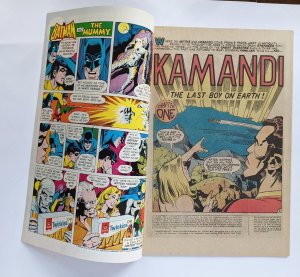 Kamandi, The Last Boy on Earth #29 (1975)  FN-