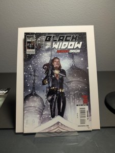 Black Widow: Deadly Origin #2  (2010) Black Widow