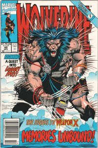 Wolverine #48 (1991) Wolverine