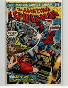 The Amazing Spider-Man #125 (1973) Spider-Man