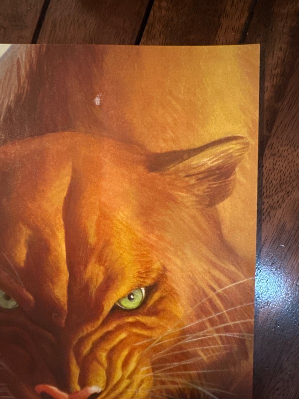 Black Cat #2 (Alex Ross) 2025