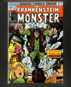 Frankenstein #12 Cold and Lasting Tomb! Ron Wilson Cover!