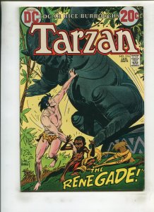 TARZAN #216 (5.0) JOE KUBERT!! 1973
