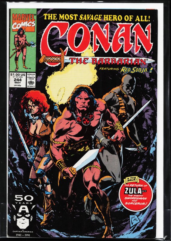 Conan the Barbarian #244 (1991) Conan