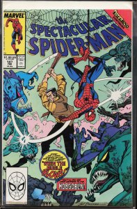 The Spectacular Spider-Man #147 (1989) Spider-Man