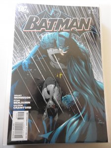 Batman #675 Direct Edition (2008)