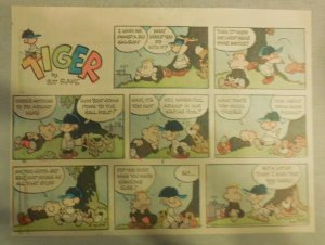 (6) Tiger by Bud Blake from 1972 Half Page Size Full Color Pages !