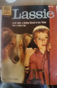 Lassie #48