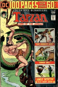 Edgar Rice Burroughs' Tarzan #232 (1974)